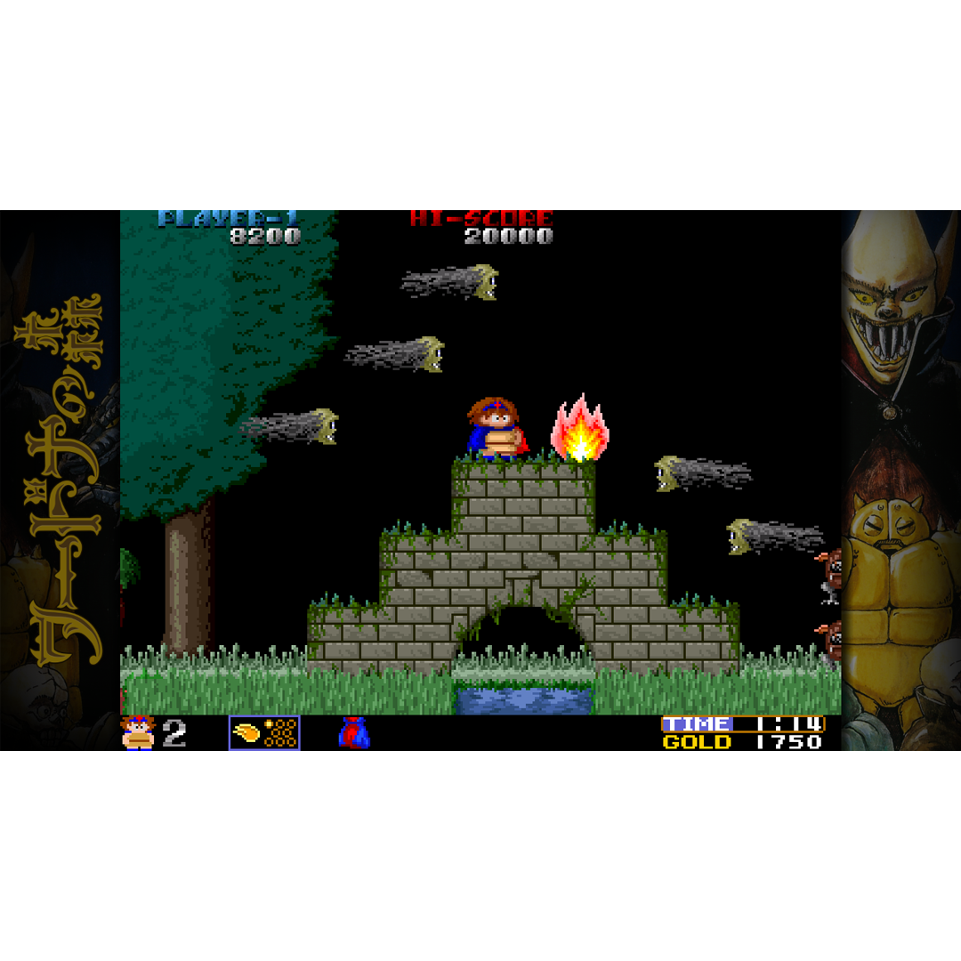Toaplan Arcade Garage: Flying Fire Shark (Playstation 4)