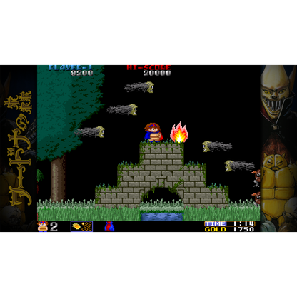 Toaplan Arcade Garage: Flying Fire Shark (Playstation 4)