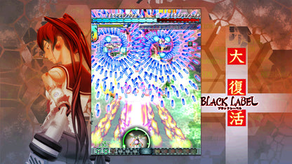 DoDonPachi Resurrection (Nintendo Switch)