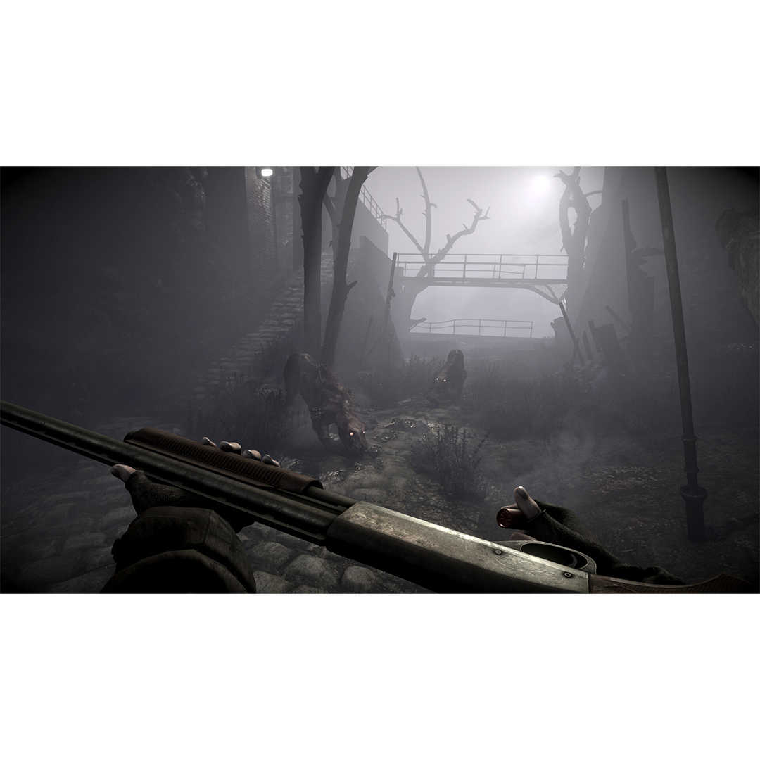 Total Chaos (Playstation 5)