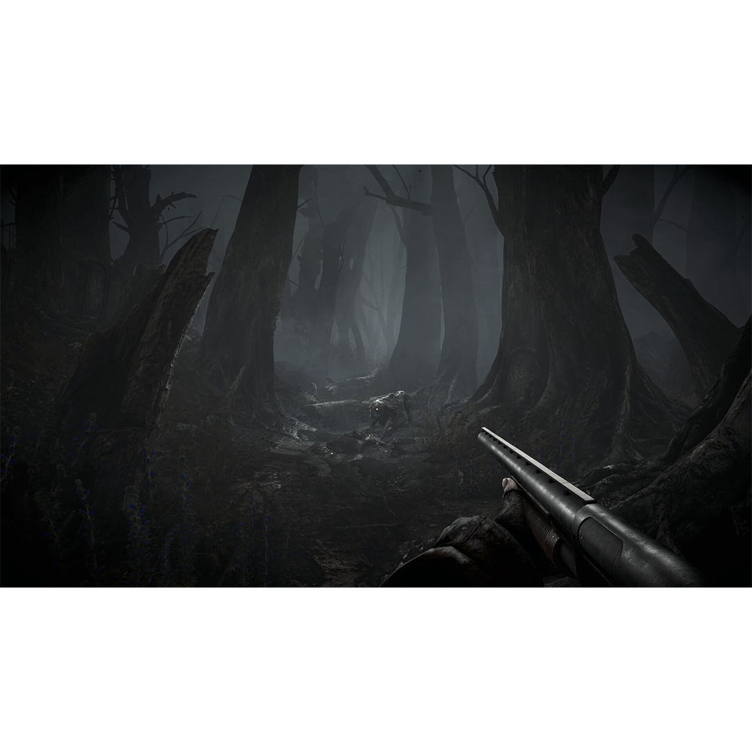 Total Chaos (Playstation 5)