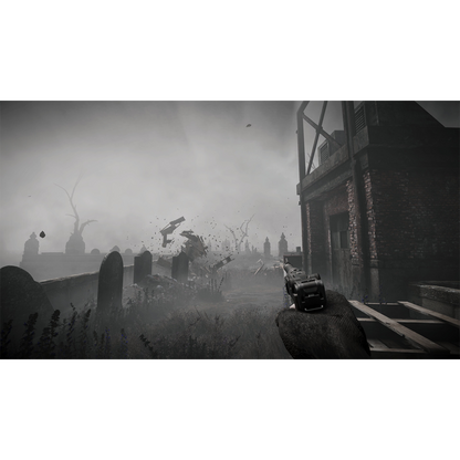 Total Chaos (Playstation 5)